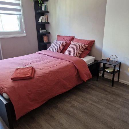 שטרסבורג Robertsau Tres Bel Appartement מראה חיצוני תמונה