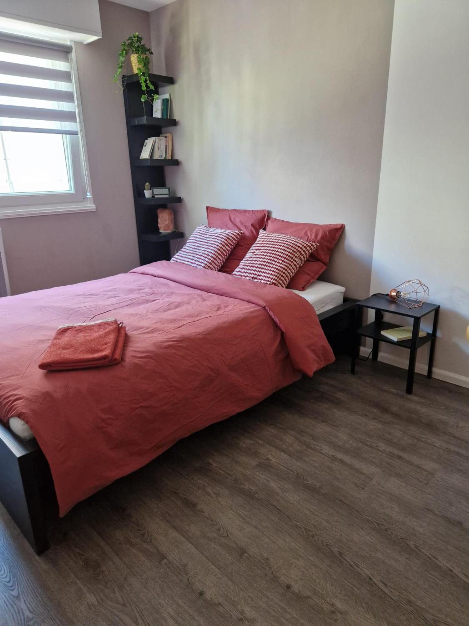 שטרסבורג Robertsau Tres Bel Appartement מראה חיצוני תמונה
