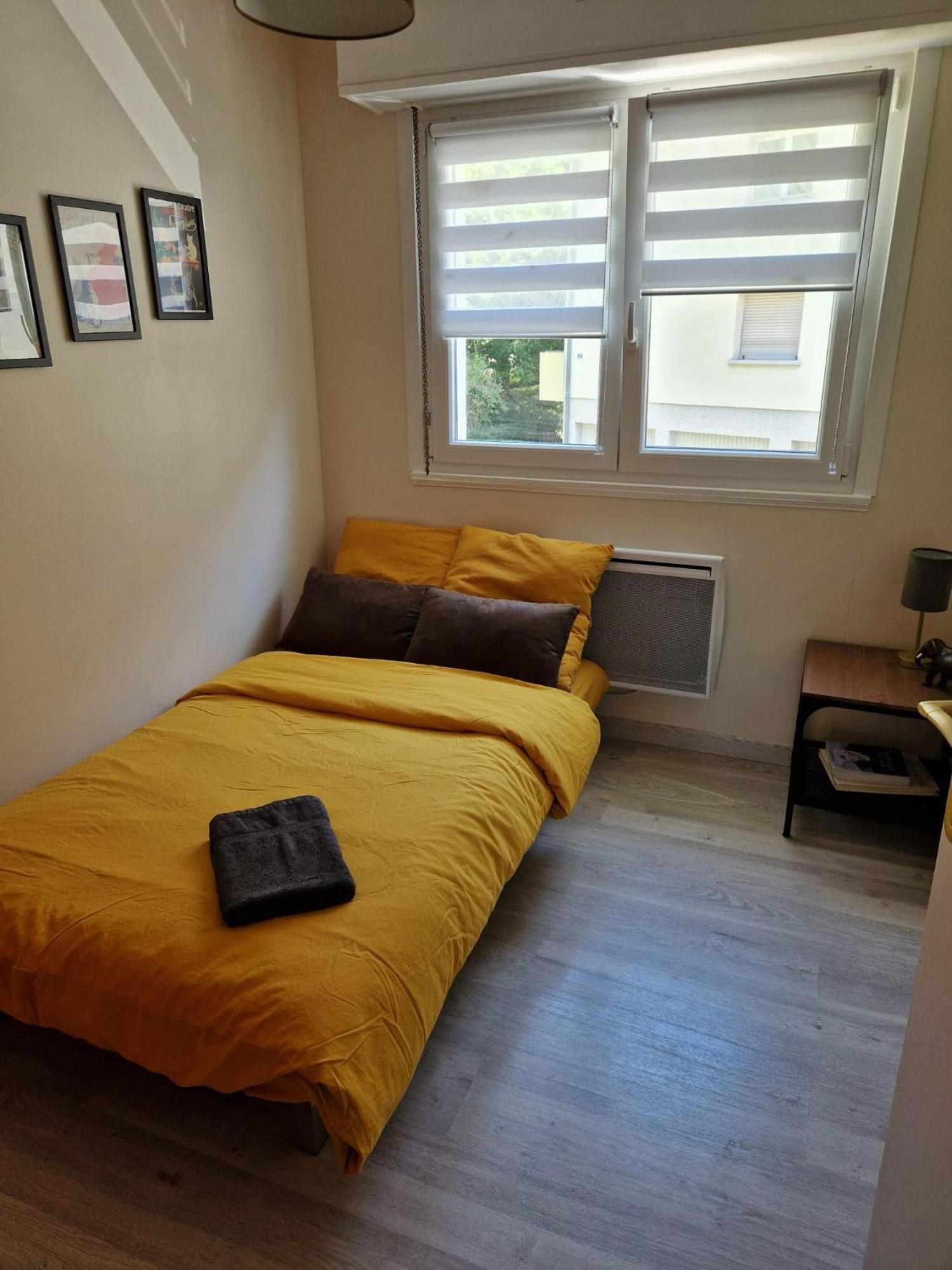 שטרסבורג Robertsau Tres Bel Appartement מראה חיצוני תמונה